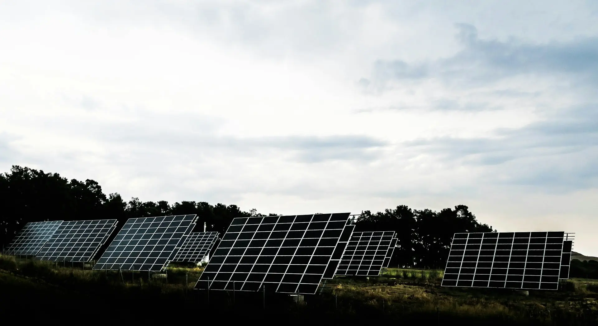 silhouette photography of assorted solar panel behind trees